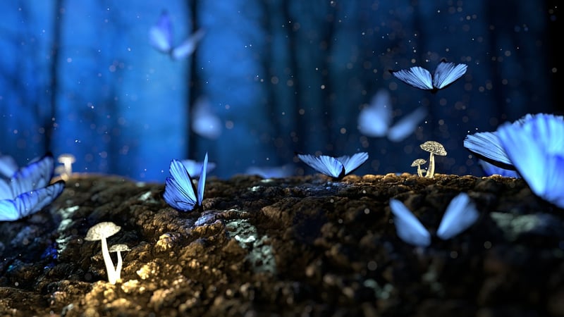 Magical Woods